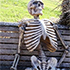 :waiting-skeleton: