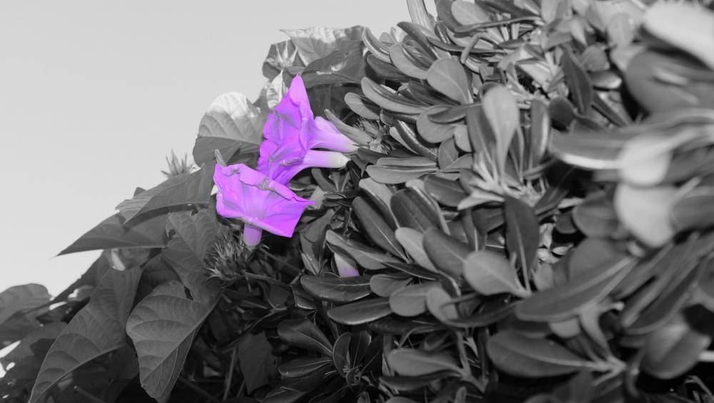 Dscf3265.jpg
