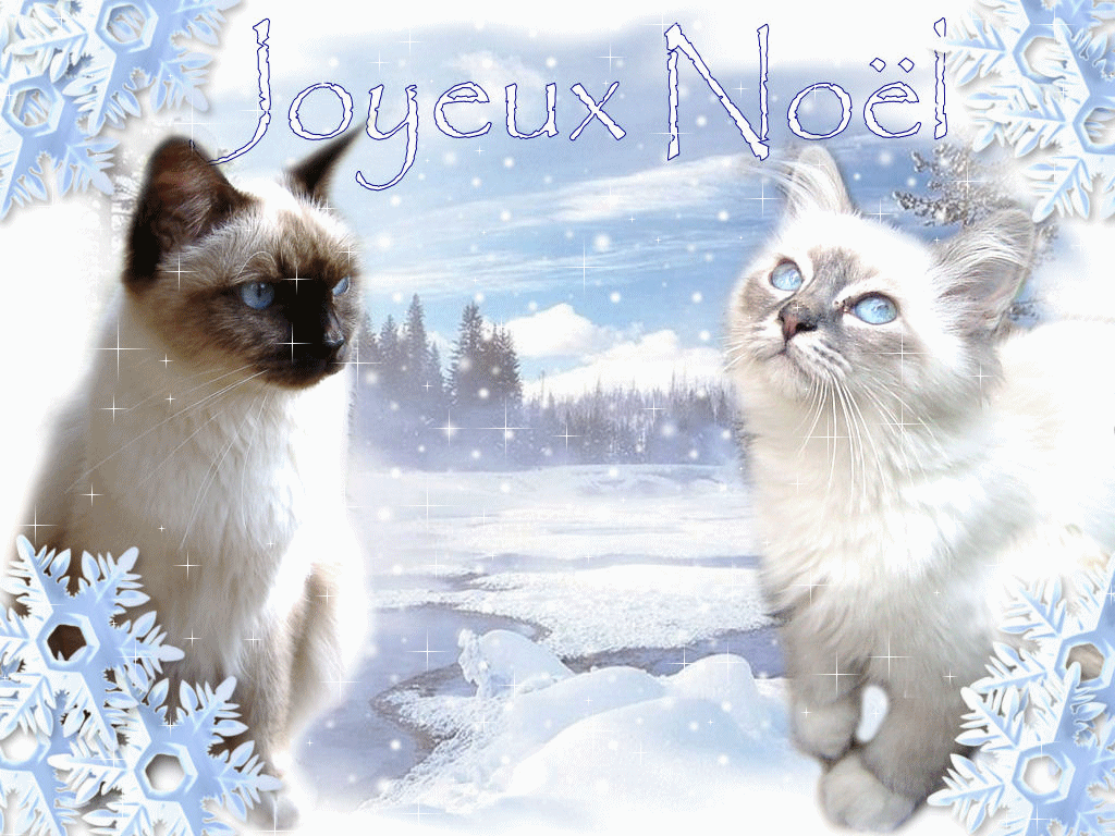 chat 3.gif