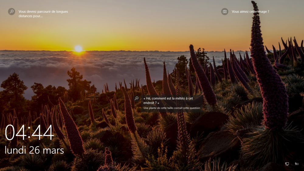 Vipérine Tenerife Canaries.png