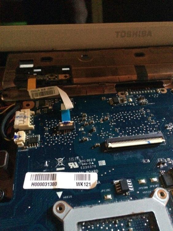 toshiba1.jpg