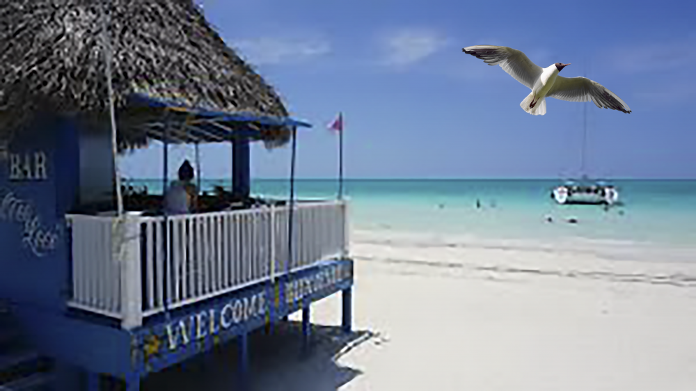 1568215187_cabaneplage_1.thumb.png.7451b5ed49fd85ccb401f3e57d23cd1b.png
