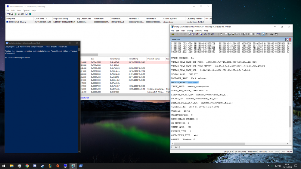 WinDbg & Bluescreenview.png