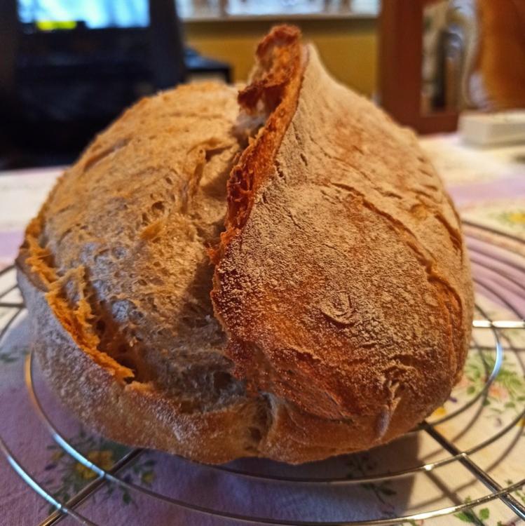 Pain Bâtard 05 Octobre 2020-2.jpg