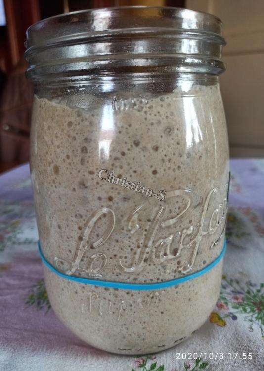 Levain  d'épeautre - jour 3_4.jpg