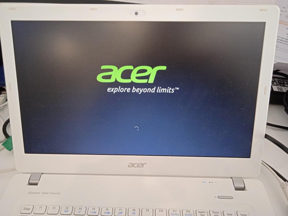 acer.jpg