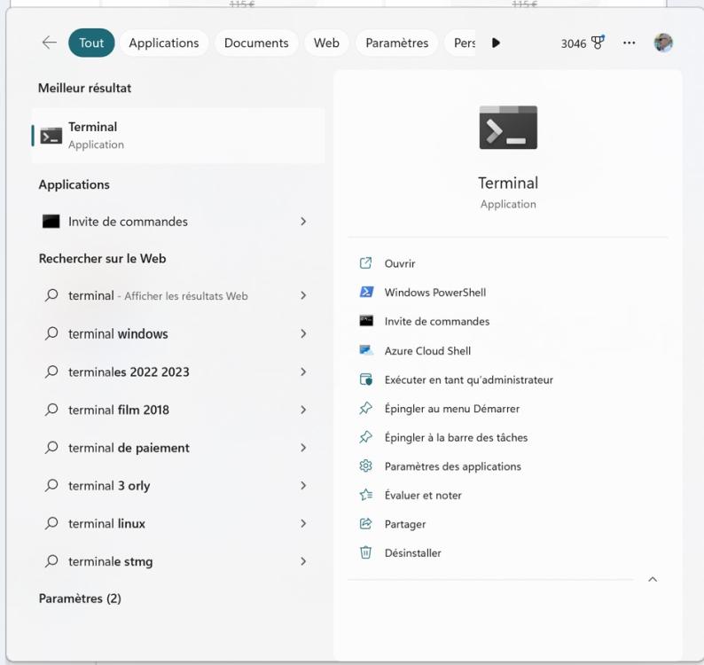 Terminal en administrateur.jpg