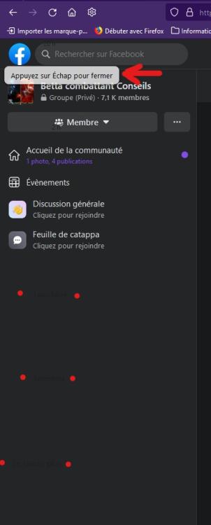 Capture d’écran (131).jpg