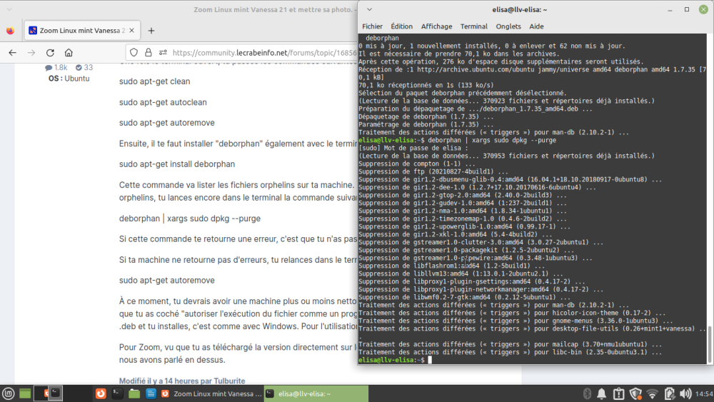 Orphelins-Capture d’écran_2023-07-25_14-54-22.png
