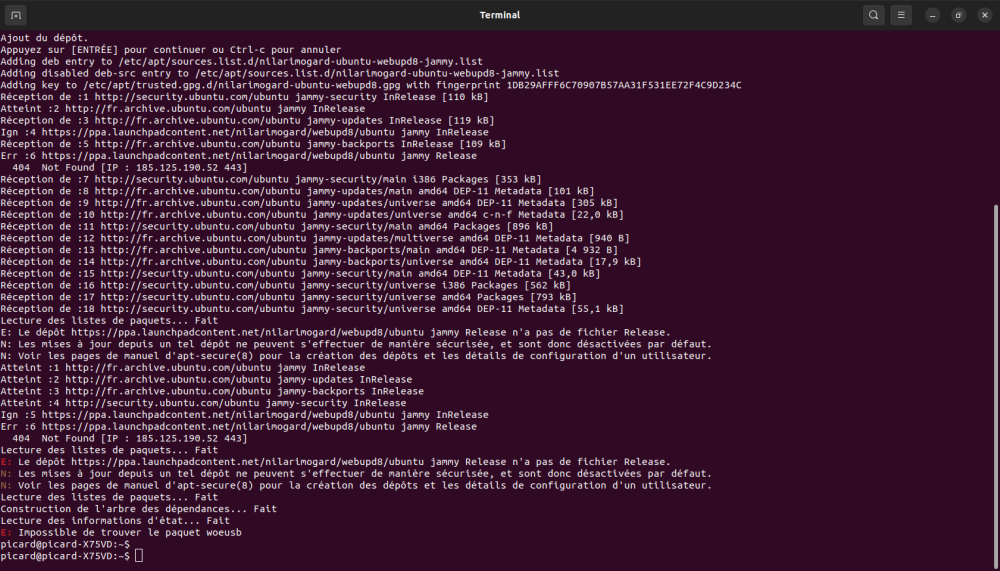 tentative WoeUSB terminal .png