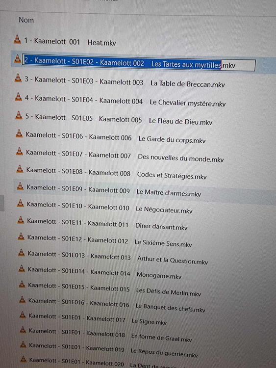 Surbrillancepourrenommer.thumb.jpg.fff0263bf36c6752892dc491f0b59957.jpg
