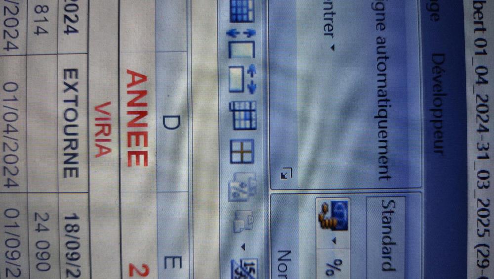 fichier excel.jpg