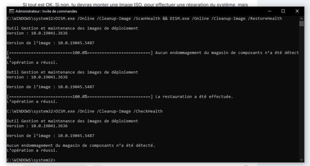 Capture d’écran (110).jpg