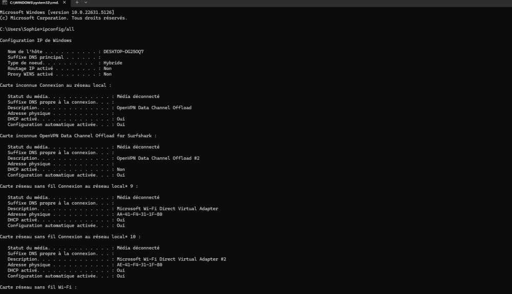 ip config all 1.png