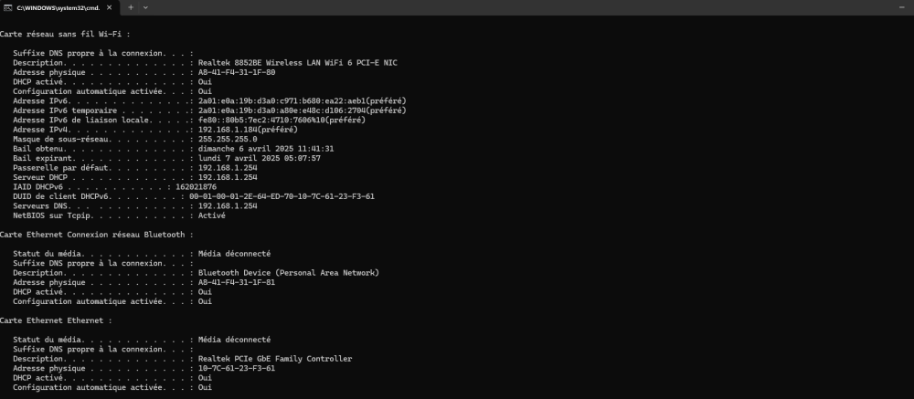 ip config all 2.png