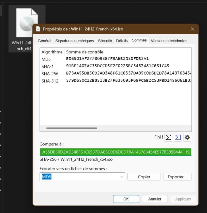Capture d’écran (34).jpg