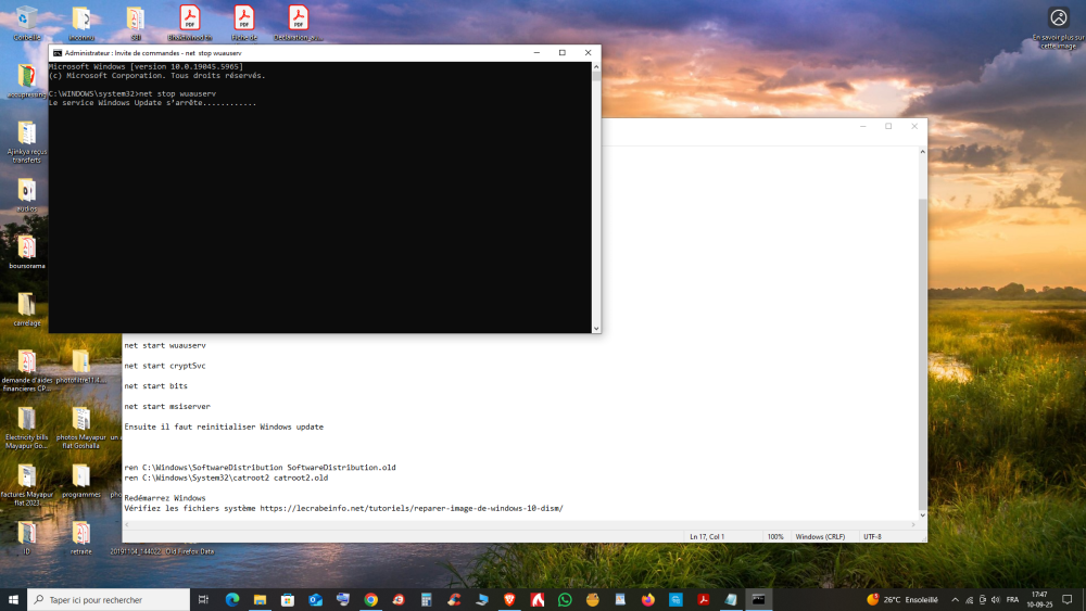 Capture d’écran (11).png