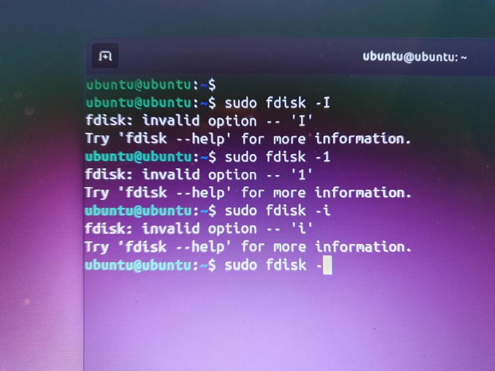17744688836007238265413044237782.jpg